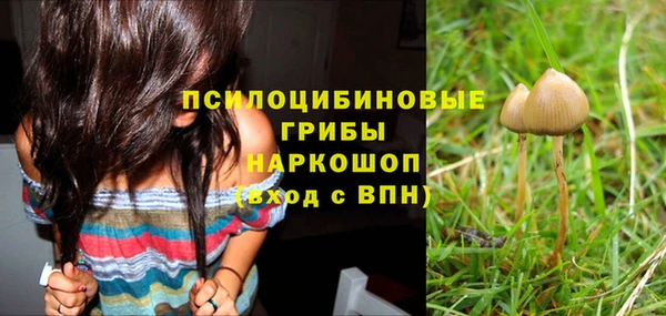 spice Новозыбков