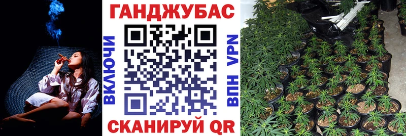 дарнет шоп Зубцов МАРИХУАНА план